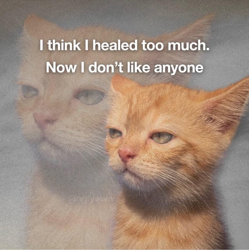 Think Healed Too Much Now